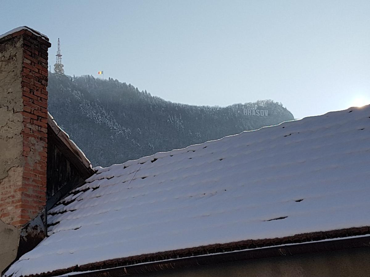 Old Vintage Villa Brasov Ngoại thất bức ảnh
